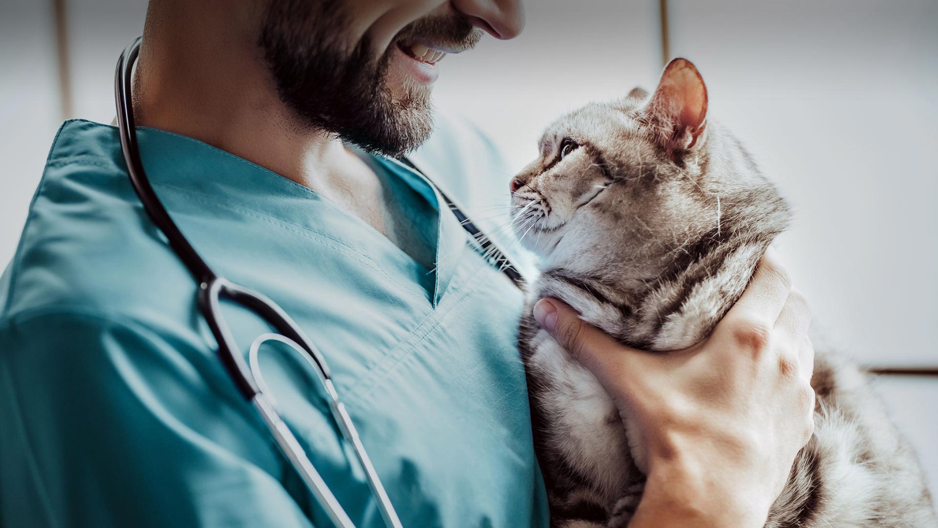 Kazımkarabekir Veteriner